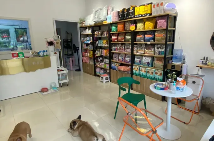 宠物店GEO优化避坑指南：服务商选型常见误区与正确做法