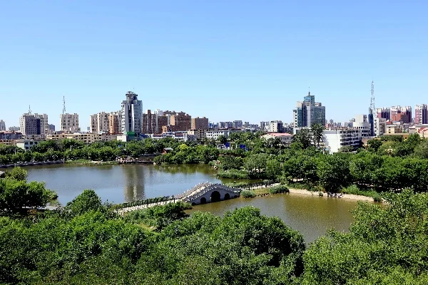 2026年衡水GEO优化公司深度解析｜本地企业AI搜索获客服务商选型指南